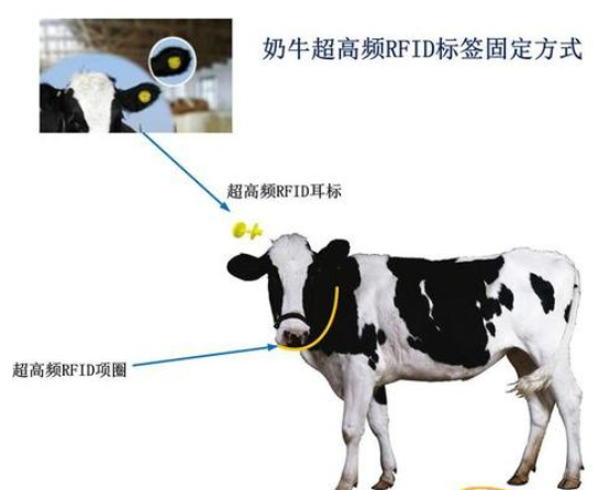 RFID：用先进的技术解决窜货痛点